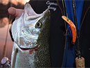 Originator Fishing Charter :: Photo Gallery Originator Fishing Charter :: Photo Gallery