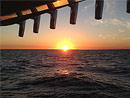 Originator Fishing Charter :: From South Haven, MI on Lake Michigan