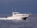 Originator Fishing Charter :: Photo Gallery Originator Fishing Charter :: Photo Gallery