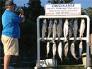 Originator Fishing Charter :: Photo Gallery Originator Fishing Charter :: Photo Gallery