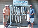 Originator Fishing Charter :: Photo Gallery Originator Fishing Charter :: Photo Gallery
