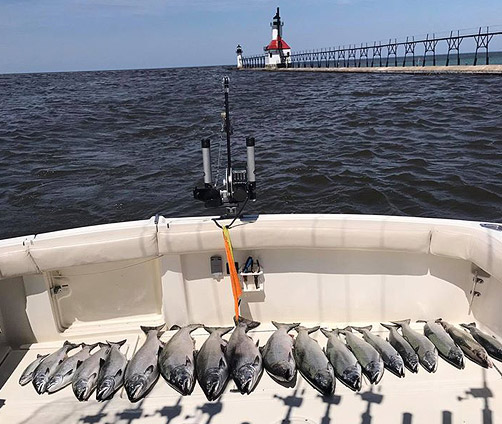 Originator Fishing Charter :: From South Haven, MI on Lake Michigan